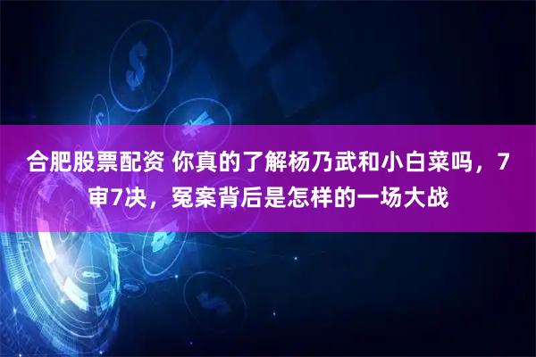 合肥股票配资 你真的了解杨乃武和小白菜吗，7审7决，冤案背后是怎样的一场大战